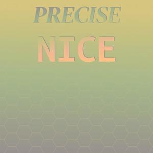 Precise Nice