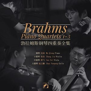 勃拉姆斯钢琴四重奏全集1-3（Brahms: Piano Quartets 1-3 ）