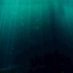 Deep (Explicit)