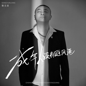 耿云龙《成年人没有避风港》[MP3_LRC]_MP3免费下载