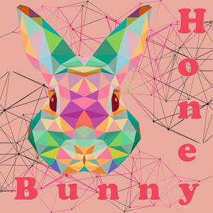 Tehno Sax (Honey Bunny Remix)