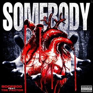 Somebody (feat. Tre factor) [Explicit]