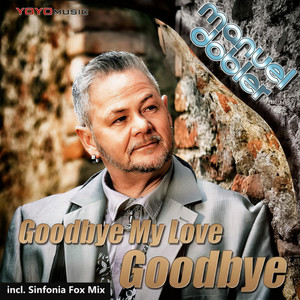 Goodbye My Love, Goodbye (Radio Edit)
