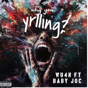 WYY (feat. Baby joc) [Explicit]