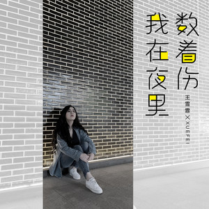 我在夜里数着伤 (DJ版)