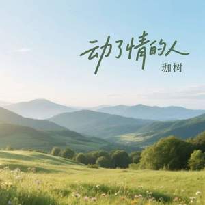 动了情的人
