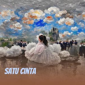 Satu cinta