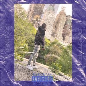 Positive Style (Explicit)