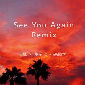 -See You Again (Wright飞机/Seeker昊子/小森同學 Remix)