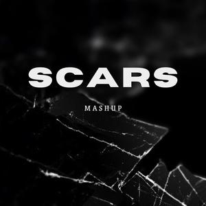 scars (keenan & peder mashup)