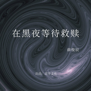 在黑夜等待救赎