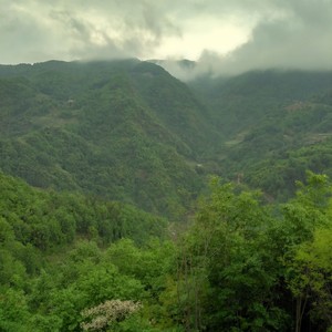 小城故事 (DJ版)