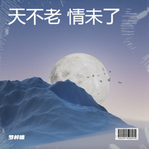 天不老 情未了 (Live)