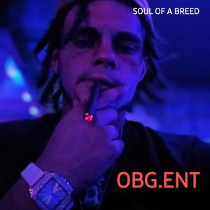 soul of a breed (Explicit)