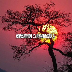 断桥残雪 (Remix)
