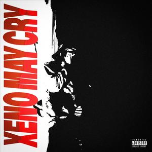 *Home Alone* (feat. RudeLiDee) (Explicit)