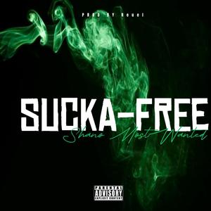 Sucka-Free (Explicit)