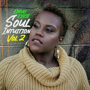 Soul Intuition: Vol 2 (Explicit)