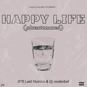 phuzamanzi (feat. 015 last numba)