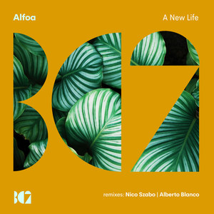 A New Life (Nico Szabo Remix)