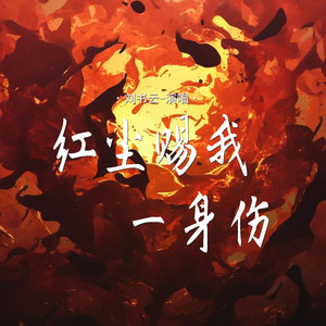 红尘赐我一身伤封面