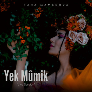 Yek Mûmik (Live Session)