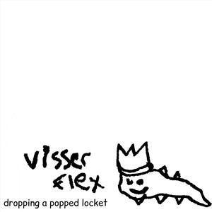 VISSER FLEX