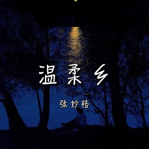温柔乡 - 张妙格封面