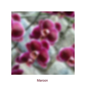 Maroon