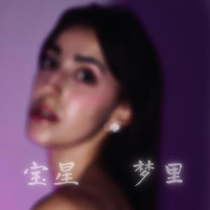 梦里 (en mis sueños)