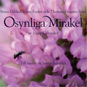 Osynliga Mirakel