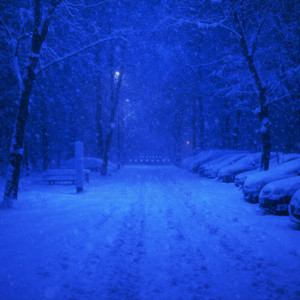 february (Speed up Version)