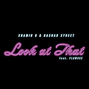 Look At That (feat. Flawcee) (Radio Edit)