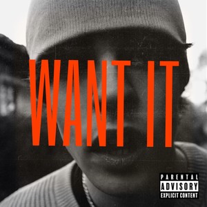 Want It (Explicit)