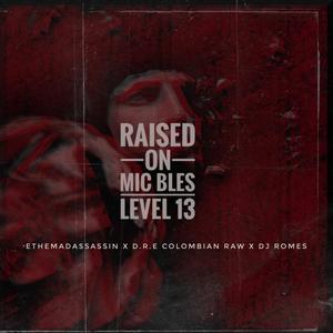 Raised On (feat. ethemadassassin, DRE Colombian Raw & DJ Romes) [Explicit]