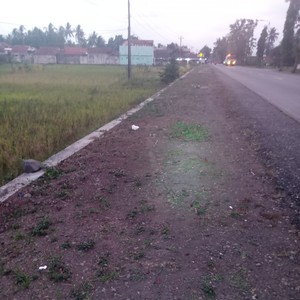 Kembali ke Mode Malam