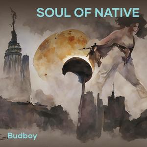 Soul of native
