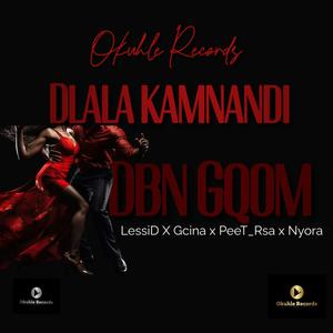 Dlala kamnandi (feat. LessiD, Nyora, PeeT_Rsa & Gcina)