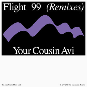 Flight 99 (Your Cousin Avi Remix)