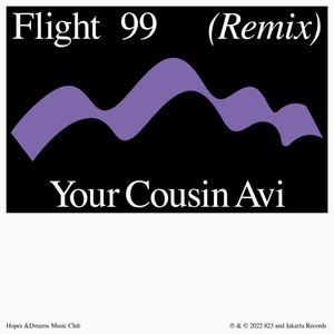 Flight 99 (Your Cousin Avi Remix)