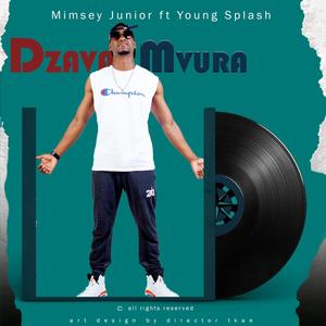 Vaipisa (feat. Young Splash)