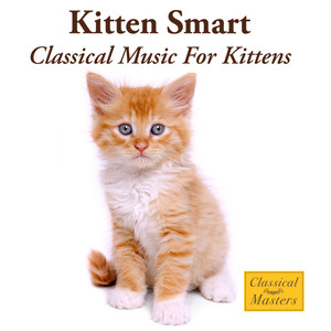 Kitten Smart - Classical Music For Kittens