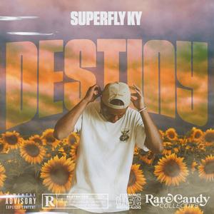 Destiny (Explicit)
