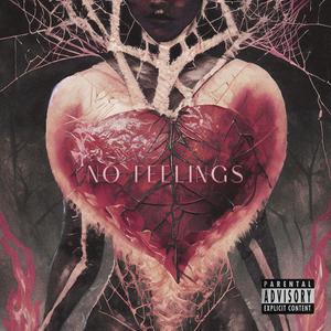 NO FEELINGS (Explicit)
