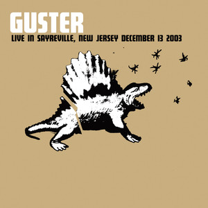 Guster - Center of Attention (Live in Sayreville, NJ)