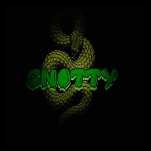 Snotty (feat. Ygr8) [Explicit]