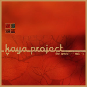 The Flow (Ambient Mix)