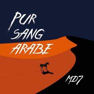 Pur sang arabe (Explicit)