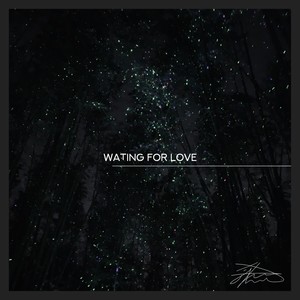 W.F.L (Waiting For Love)