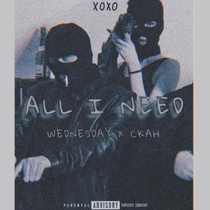 All I Need(feat. Wednesday Mistake) (Explicit)